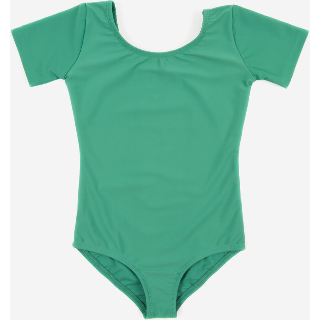 Leveret Girls Short Sleeve Leotard In Animal Print