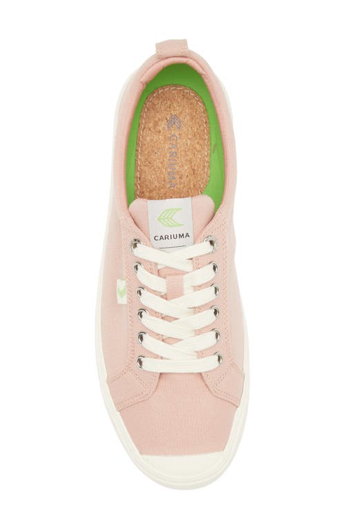 Cariuma Ladies Oca Low Lace-up Canvas Trainers In Pink