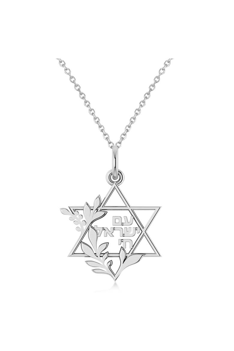 Jewish Star Of David Am Yisrael Chai Pendant Necklace 14K, Main, color, White Gold