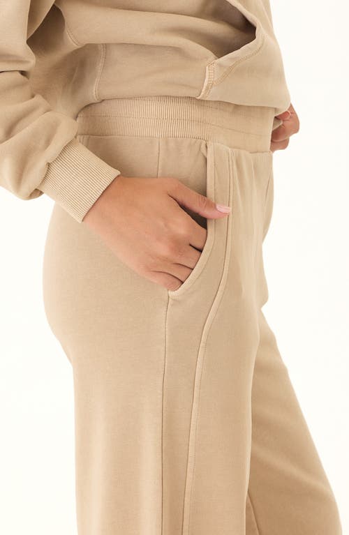 Threads 4 Thought Esmeralda Mineral Wash Wide Leg Pants In Neutral