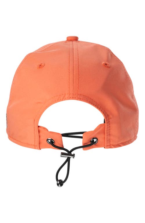 Shop Black Clover Hollywood 16 Baseball Cap