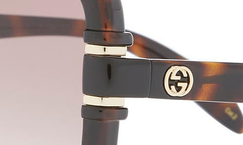 Gucci 59mm Square Sunglasses In Havana Havana Brown