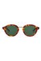 selected Tortoise Tortoise Green