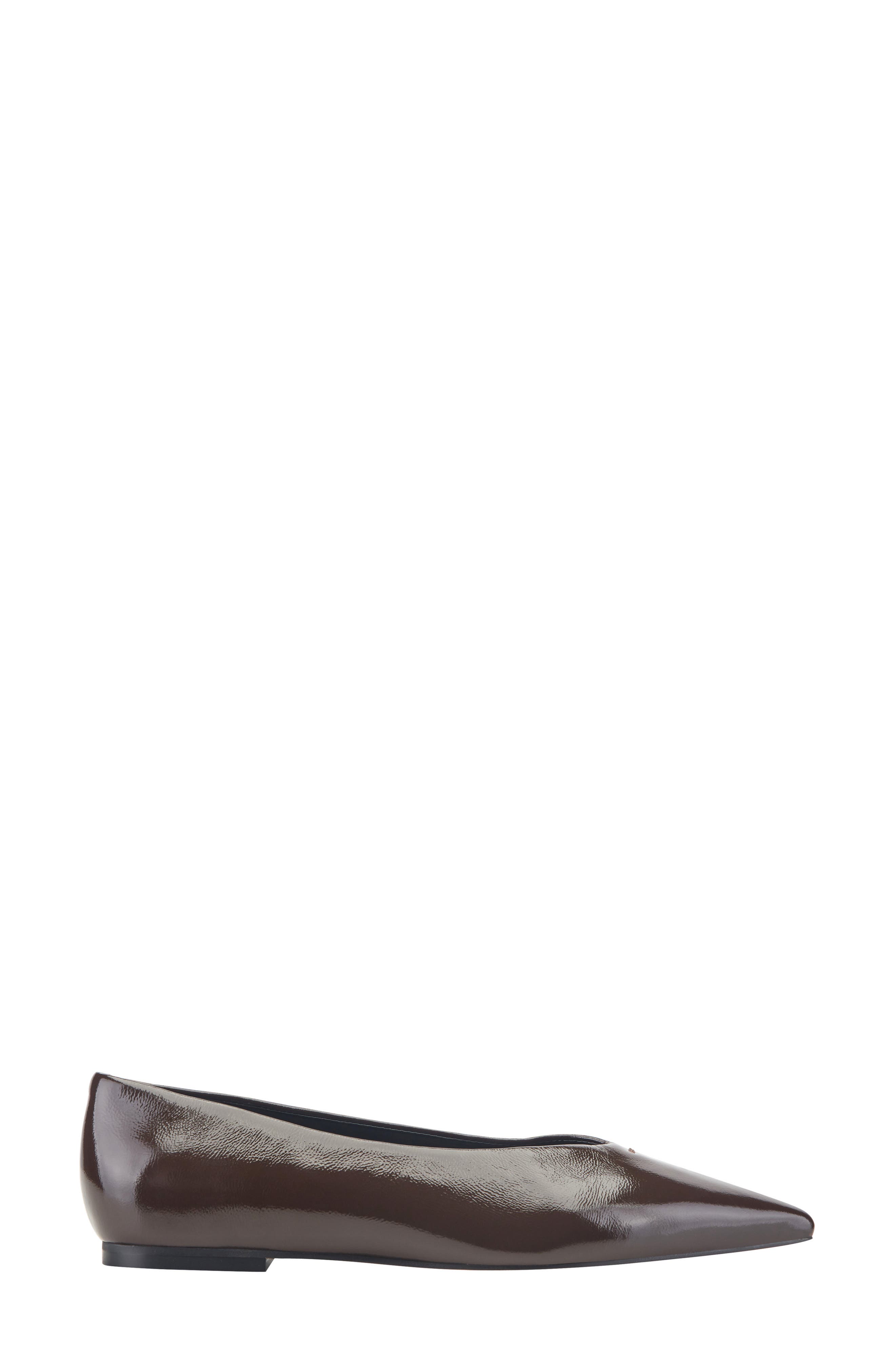 Casee Pointed Toe Flat, Alternate, color, DARK BROWN
