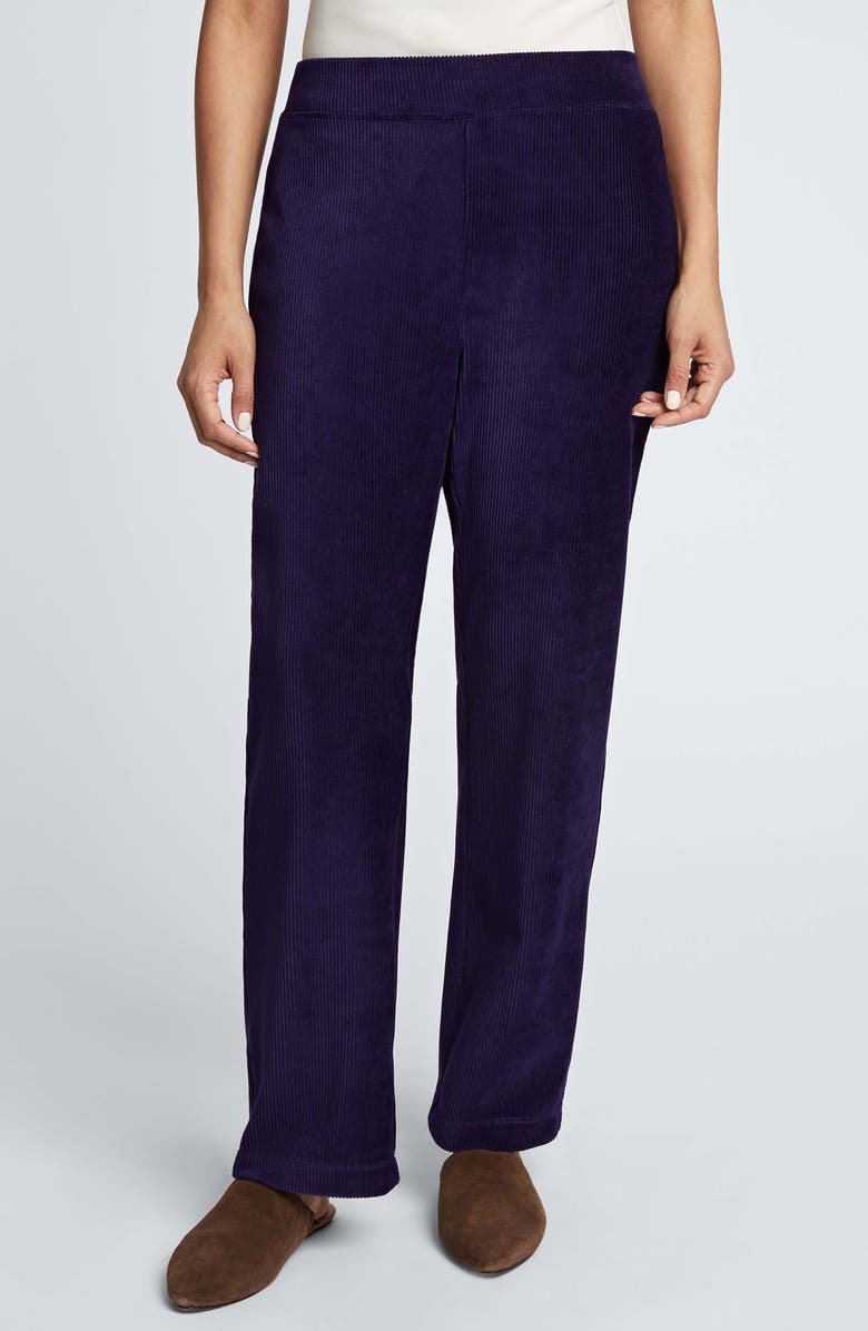 Foxcroft Caden Plush Corduroy Pants, Main, color, Deep Purple