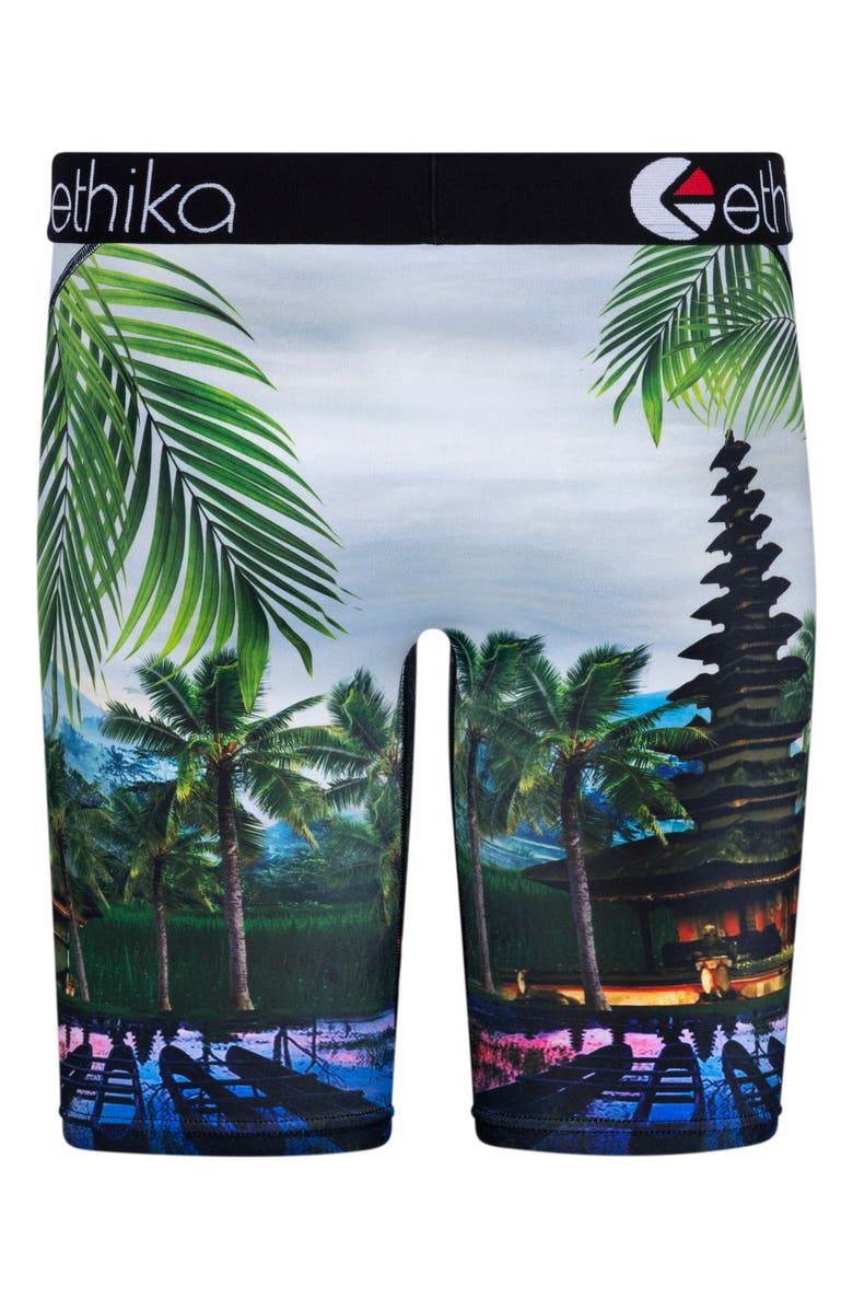 Ethika Kids' Primal Boxer Briefs, Alternate, color,