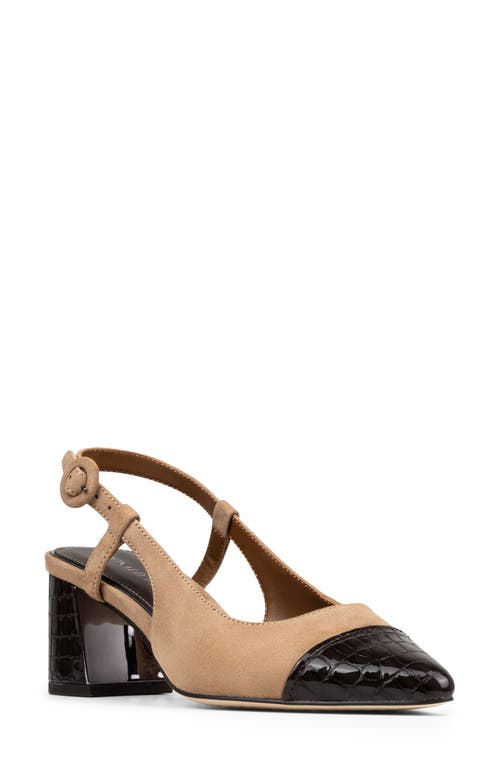 Donald Pliner Song Slingback Pointed Toe Pump In Brown