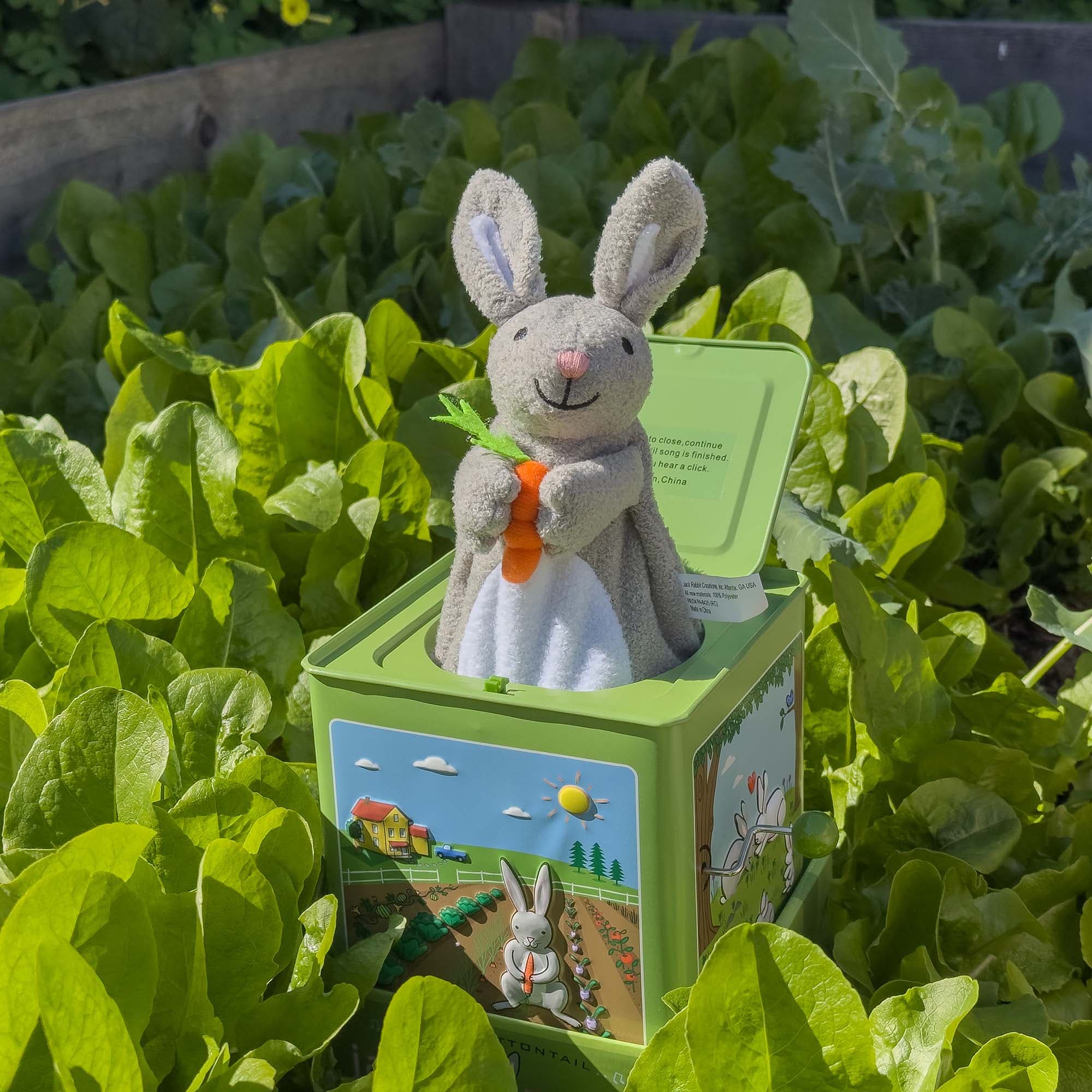 Bunny Jack in the Box | Nordstrom