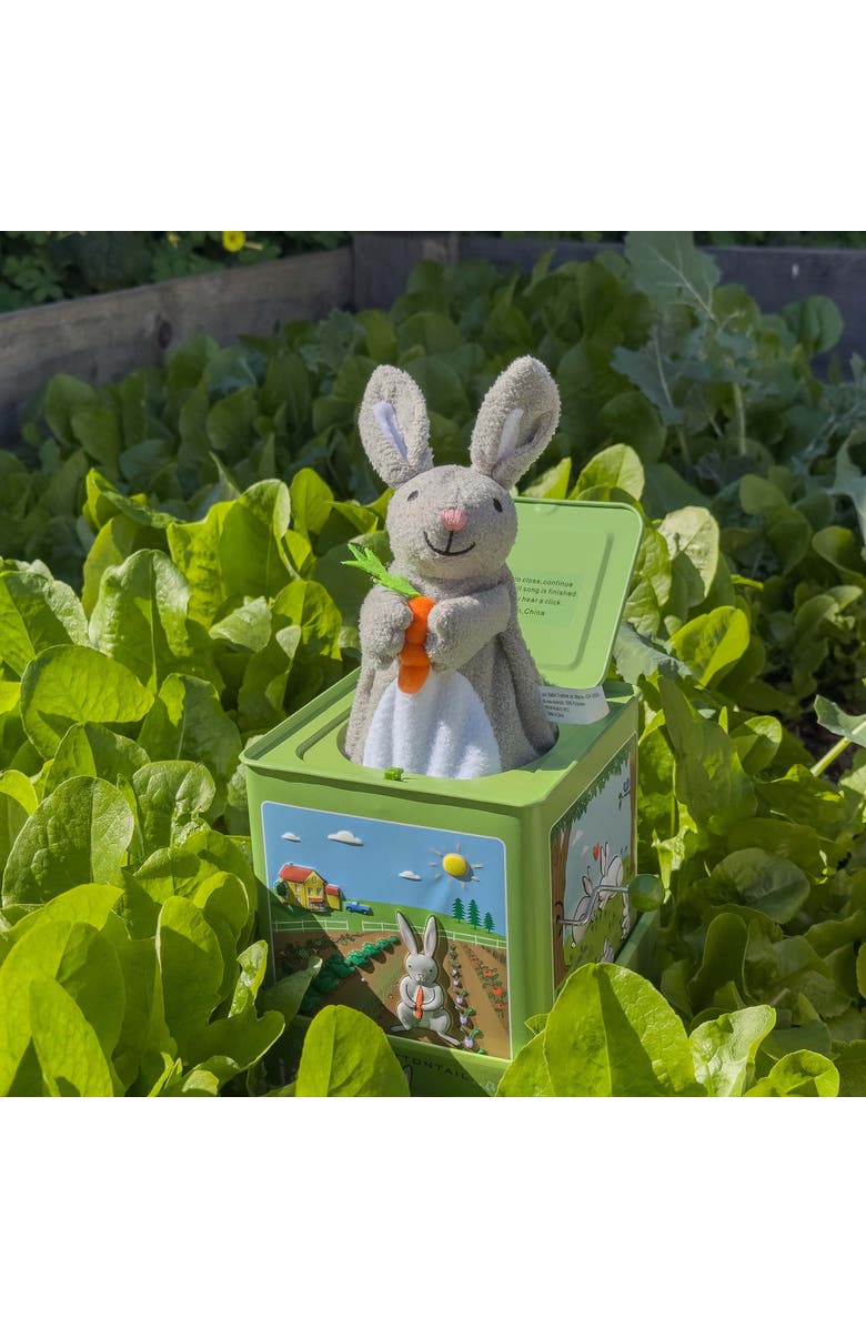 ZZDNU Jack Rabbit Creations Inc Bunny Jack in the Box, Alternate, color, Multicolored