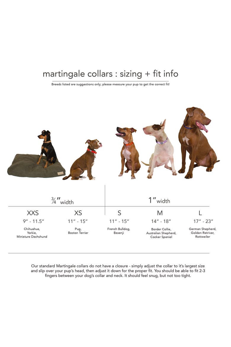 Martingale Dog Collar, Alternate, color, Pink + Orange