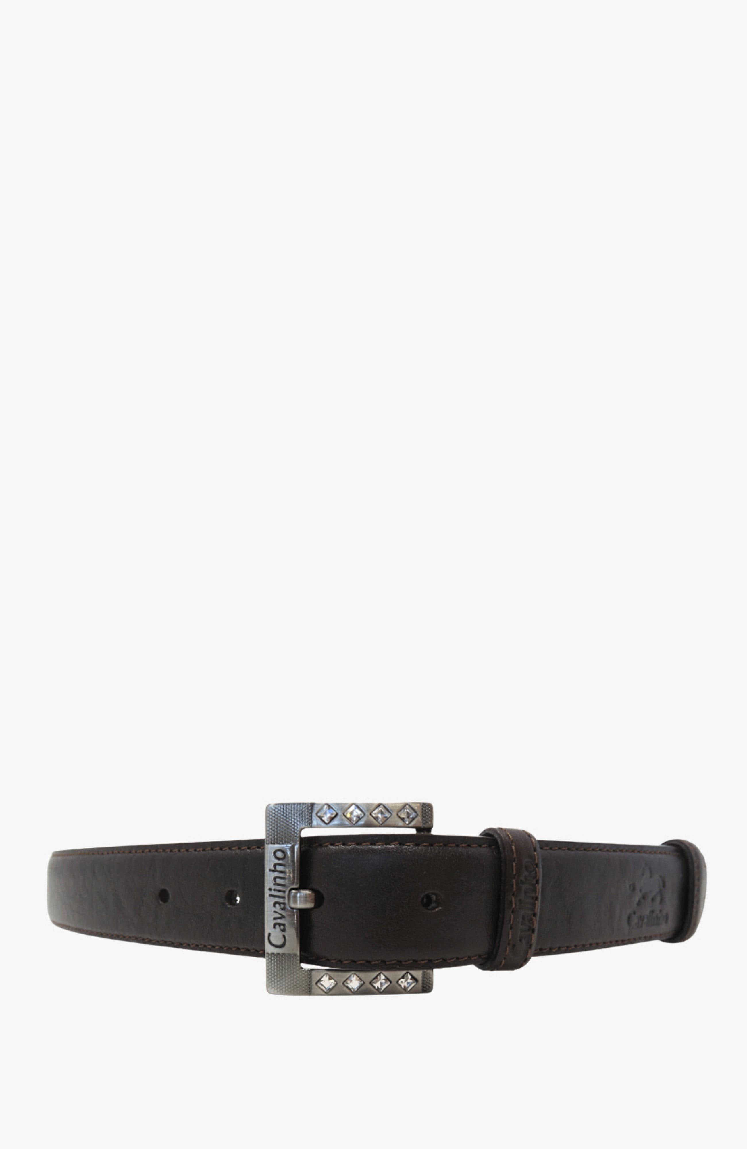 selected Brown / Silver