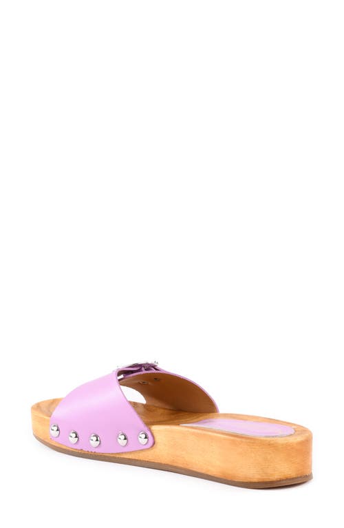 Seychelles Sorbet Slide Sandal In Lilac