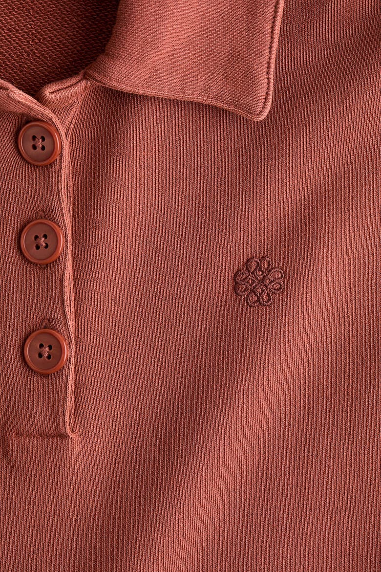 Loose-fit Polo Shirt, Alternate, color, Rust red