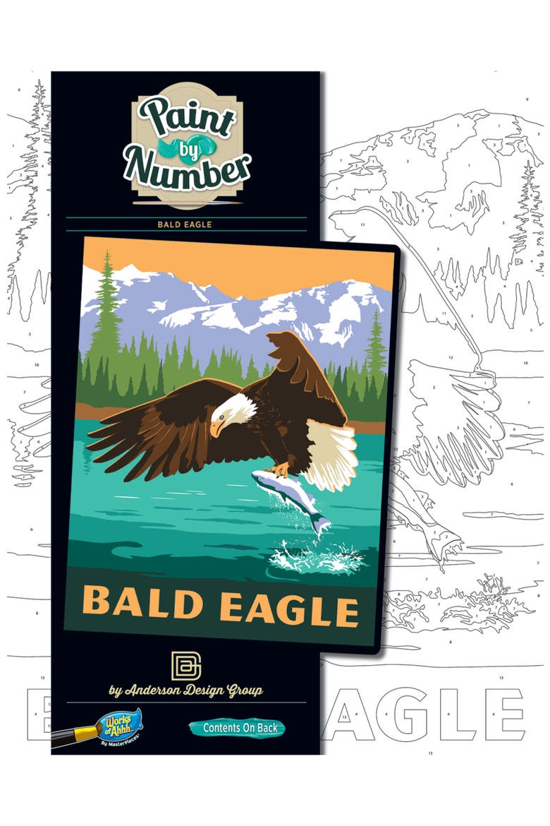 Eagle - Paint by Number, Main, color, Multicolor