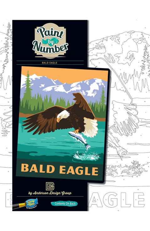 Eagle - Paint by Number