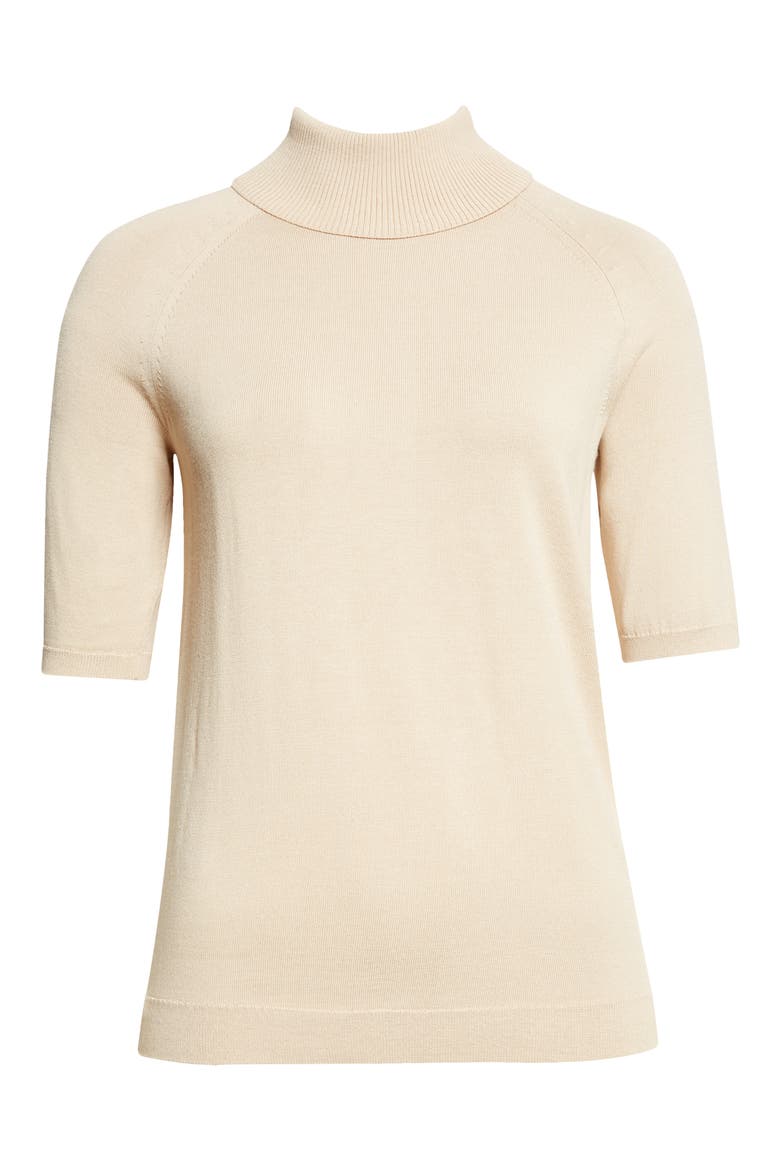 Raglan Sleeve Turtleneck Sweater, Alternate, color, PLASTER