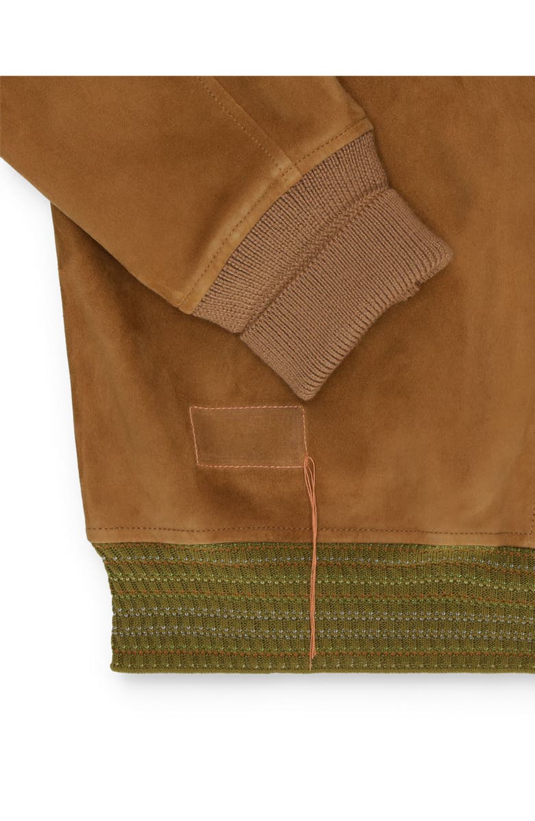 Fortela Cruiser Suede Bomber Jacket, Alternate, color, Camel