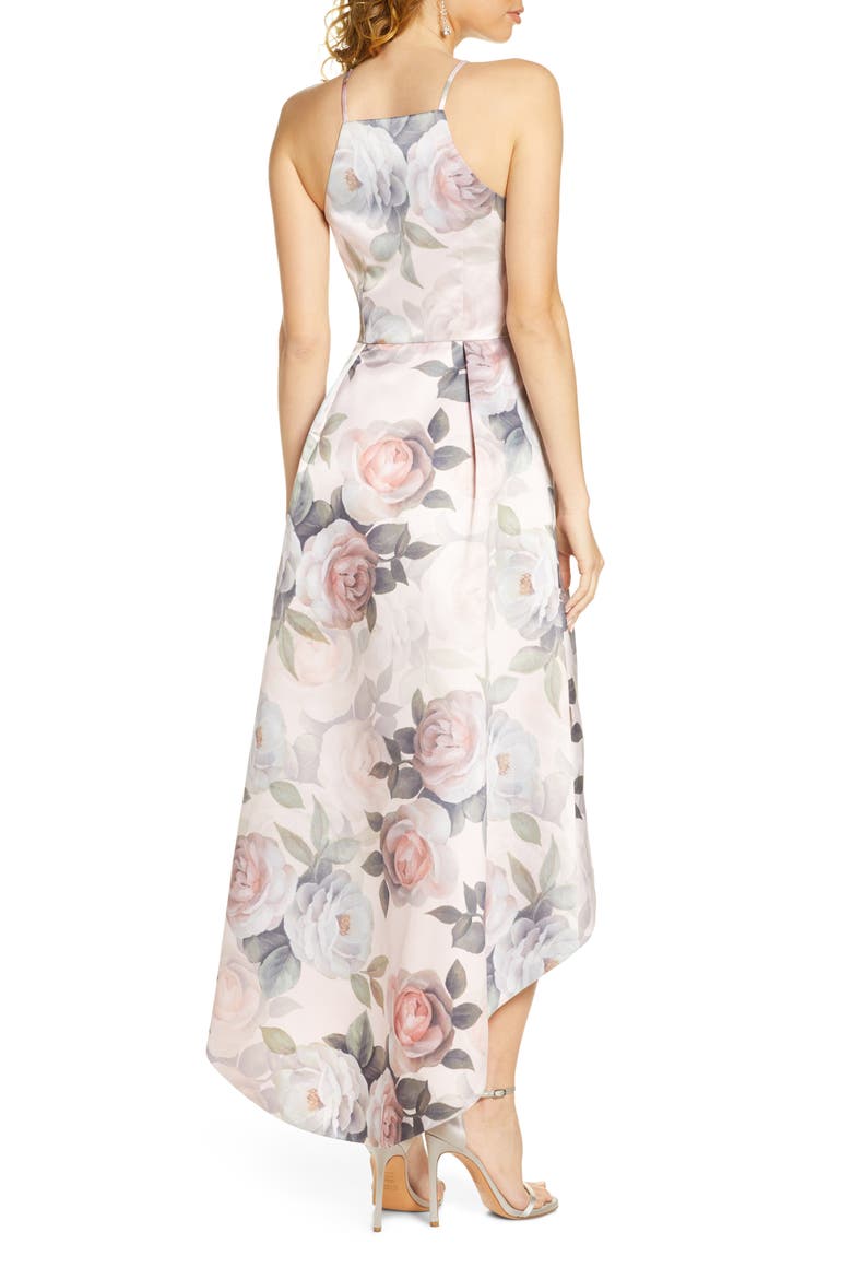 Shantal Sleeveless High/Low Gown, Alternate, color, MINK
