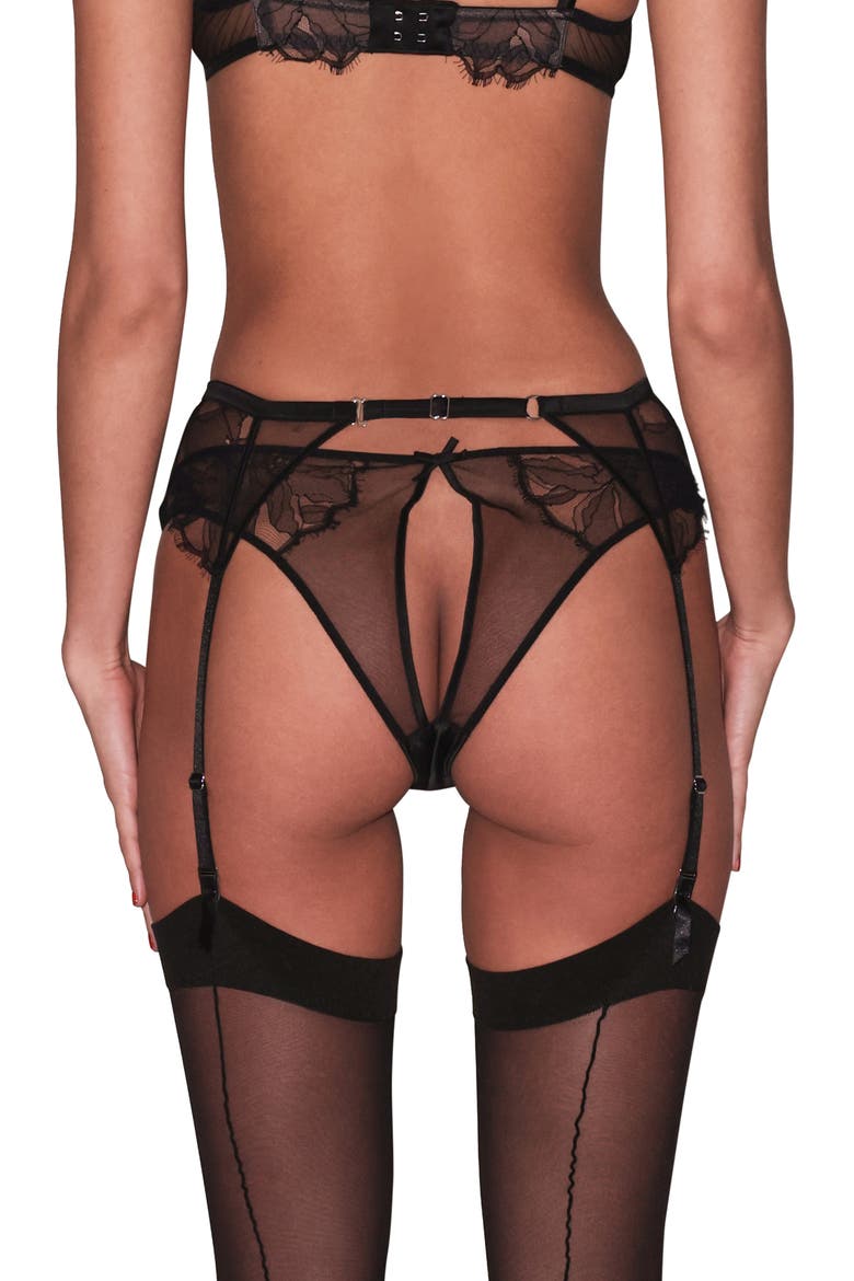 Sophie Mesh & Lace Cheeky Briefs, Alternate, color, BLACK