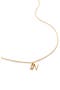  18Ct Gold Vermeil/ Ss- N
