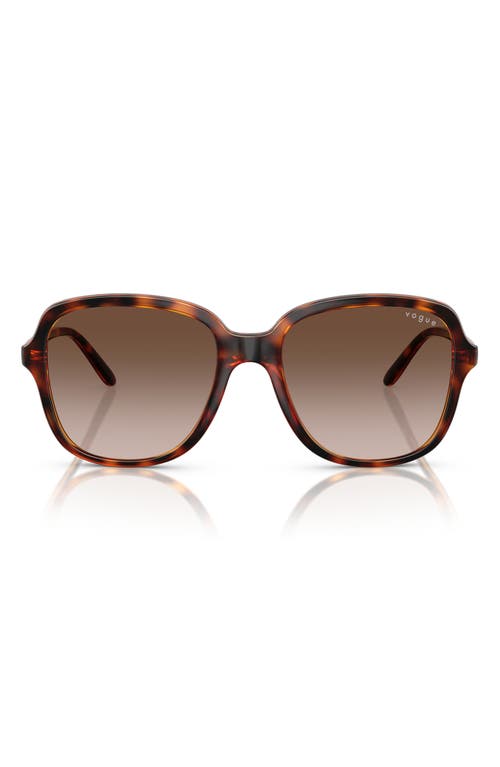 Vogue 53mm Polarized Square Sunglasses In Dark Havana