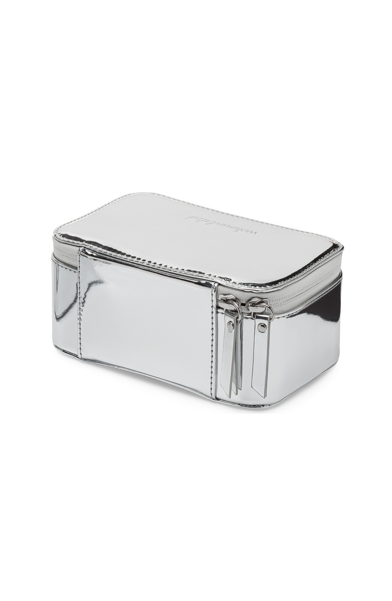 WELLinsulated Performance Mini Travel Case, Alternate, color, Silver