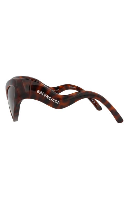Balenciaga Acetate Havana Sunglasses In Brown