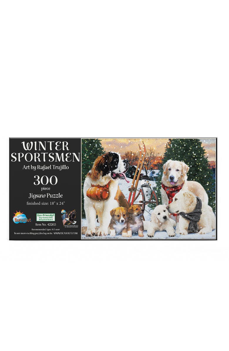 Sunsout Winter Sportsmen 300 piece Jigsaw Puzzle for Adults, Alternate, color, Multicolor