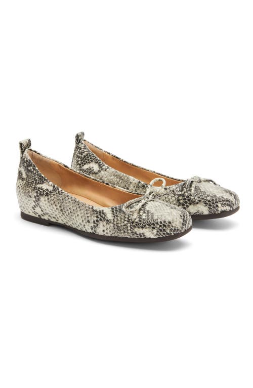 Abeo Cadence Bow Ballet Flat In Snake Print - Regular