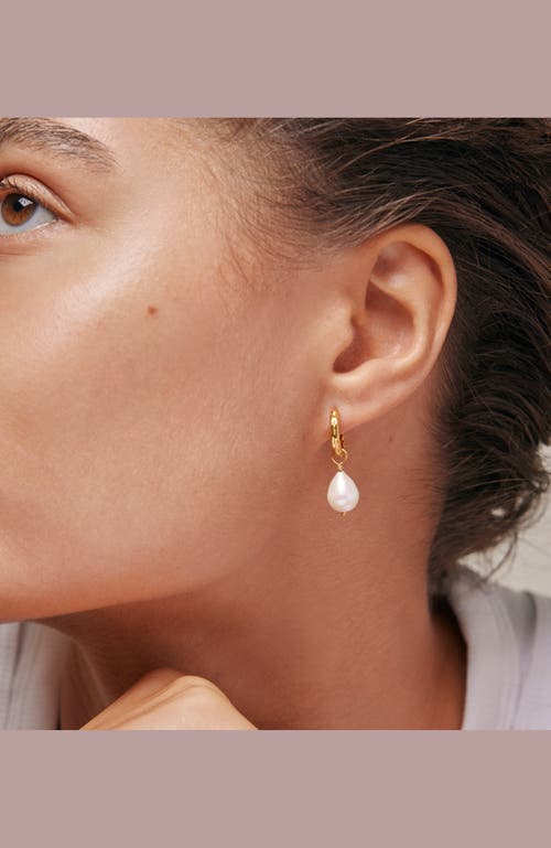 Enamel Copenhagen Significant Pearl Hoops In Gold