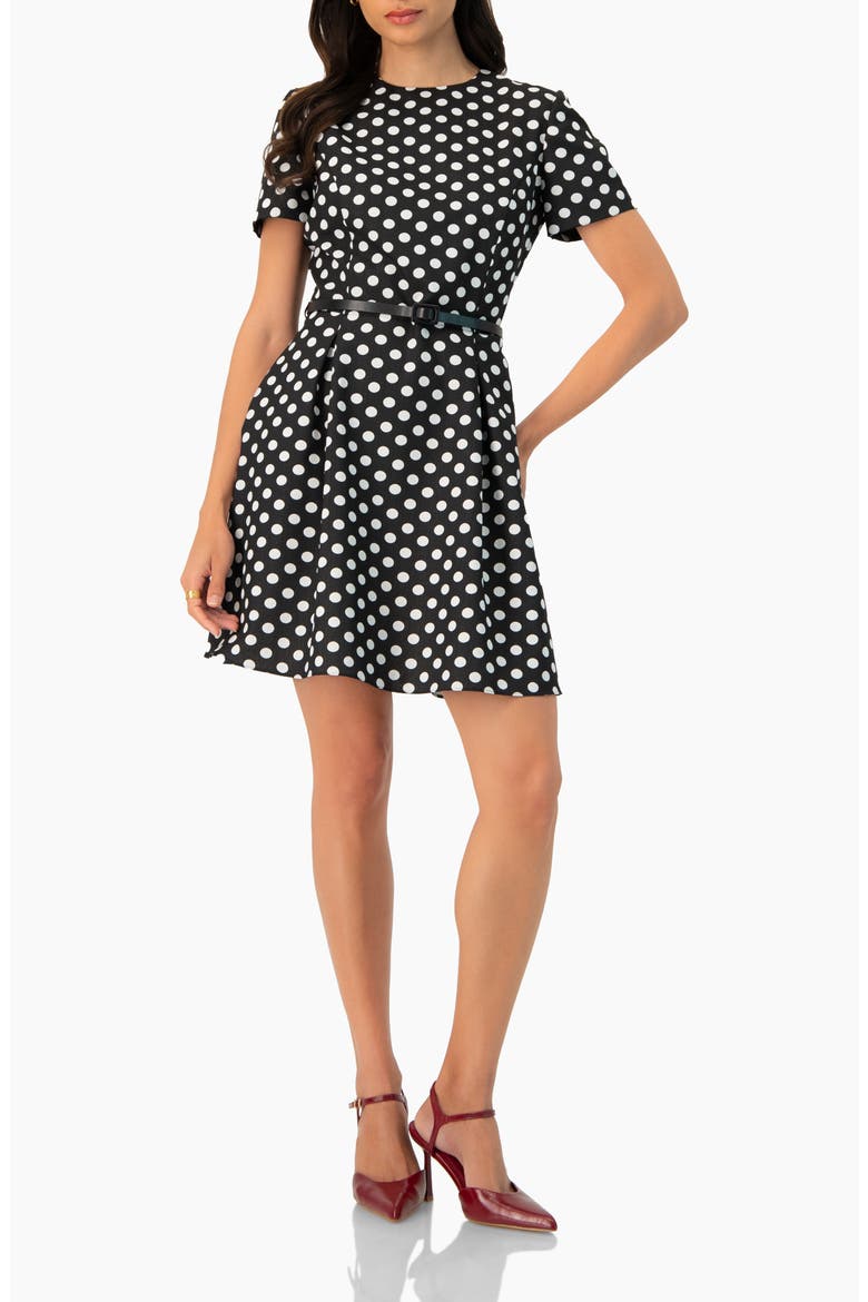 Polka Dot A-Line Short Dress, Alternate, color, Black