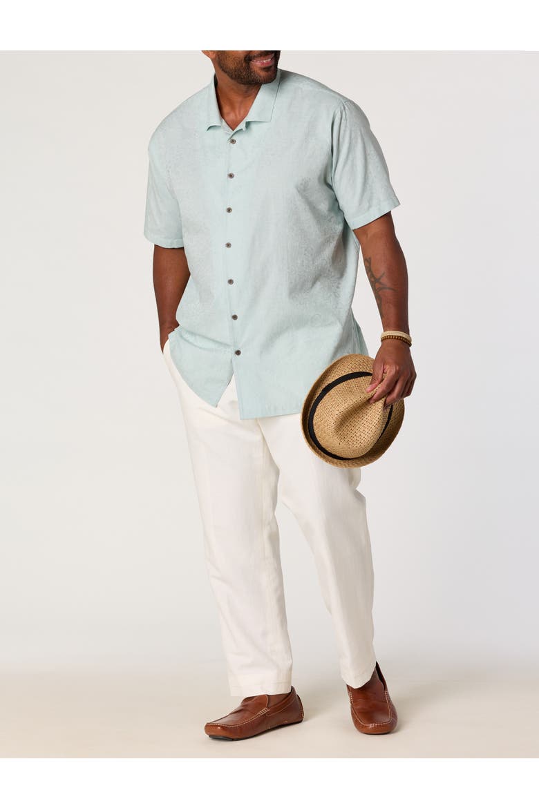 Big & Tall  Solid Camp Shirt, Alternate, color, MINT