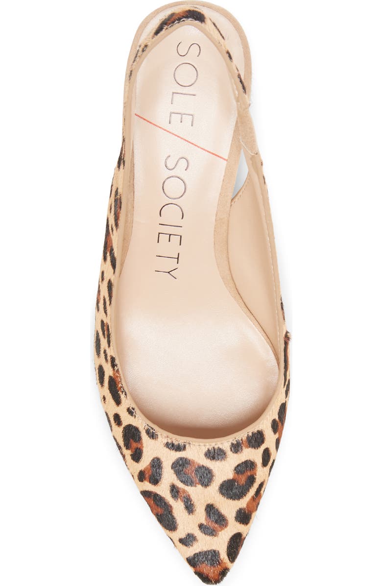 Sole Society Keilinah Slingback Pointy Toe Pump, Alternate, color,