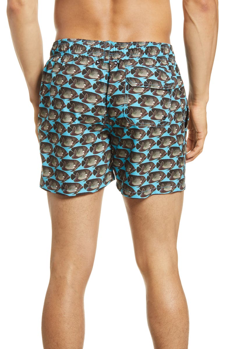 Bugatchi Fish Print Swim Trunks, Alternate, color, 