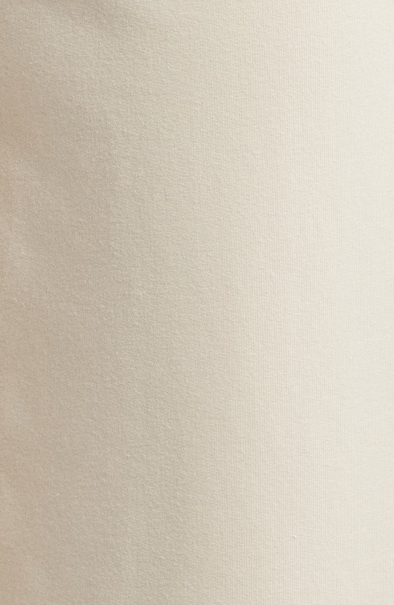 Anne Klein Pull-On Crop Wide Leg Pants, Alternate, color, Soft Latte