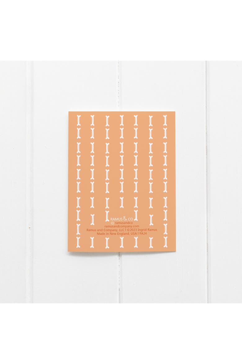 Fall/Halloween Greeting Card Pack Sets (3 ct) Cat Bone Pajamas, Alternate, color, Multi-Pack