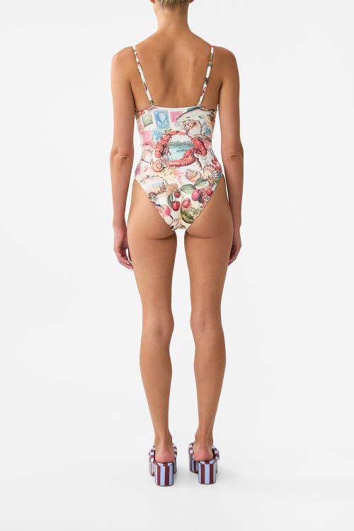 Camilla Ruched Cup Underwire One Piece W Tie Front Notes From The Road In Multi