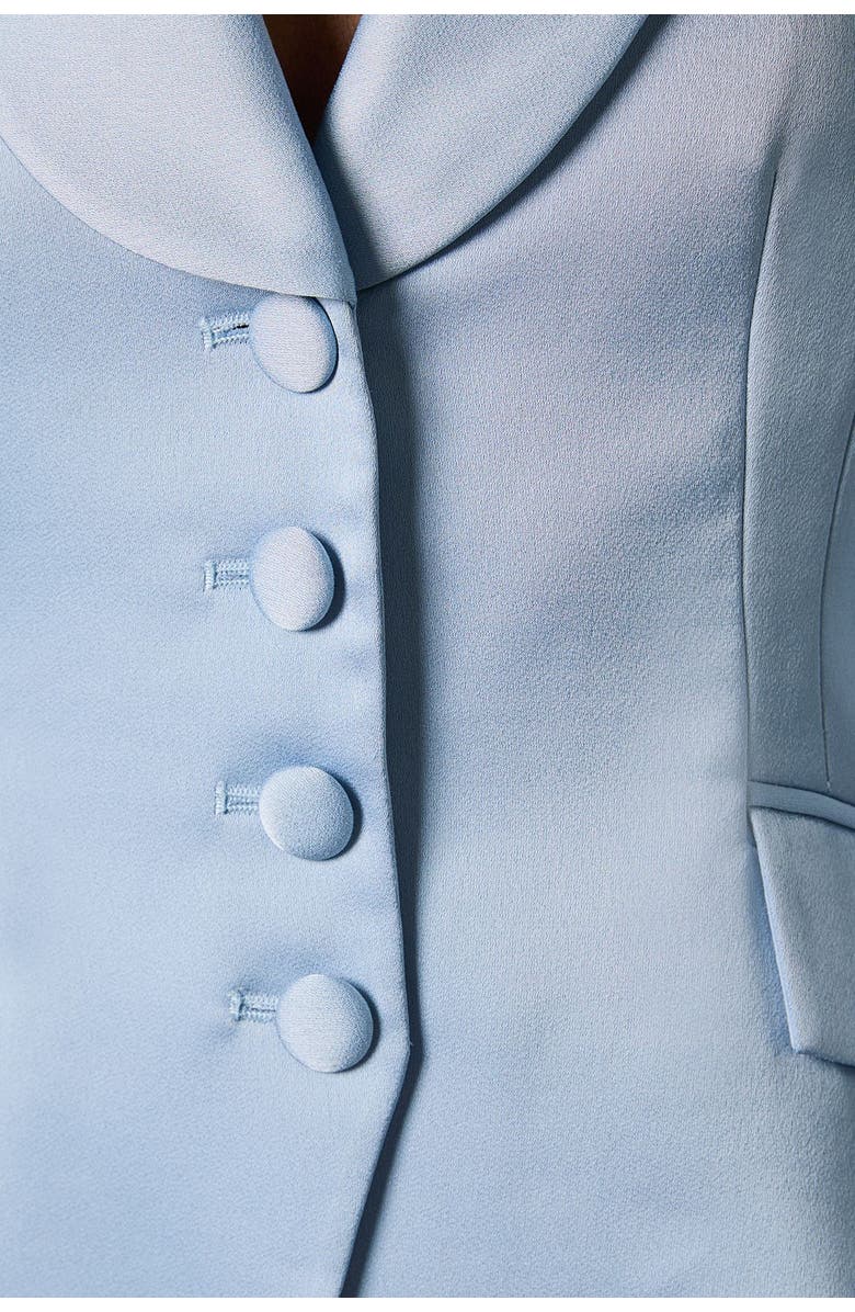 Coast Satin Lapel Waisted Jacket, Alternate, color, Dusty Blue