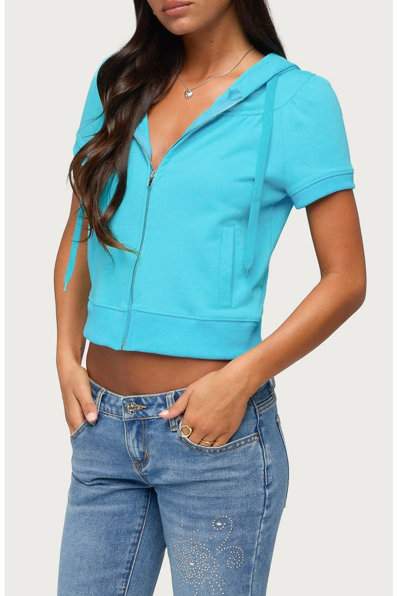 Daisi Short Sleeve Zip Hoodie, Alternate, color, TURQUOISE