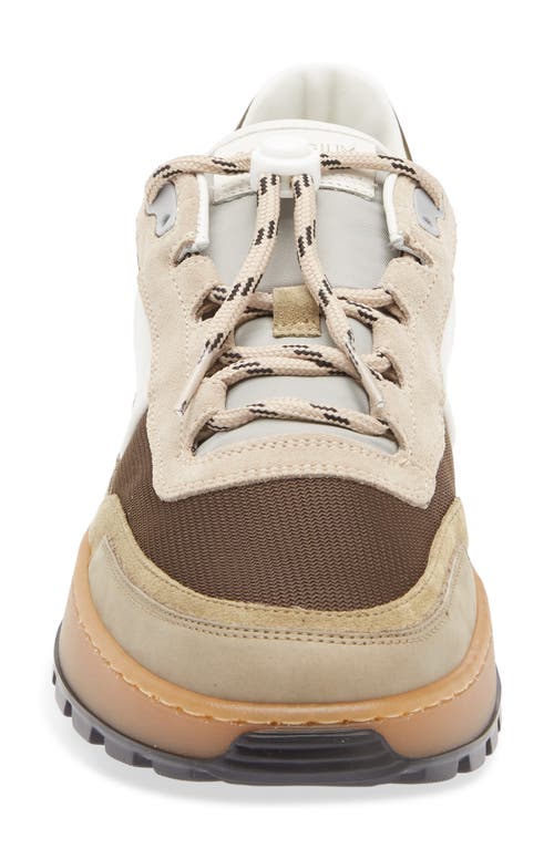Collegium Pillar Trail Sneaker In Brown