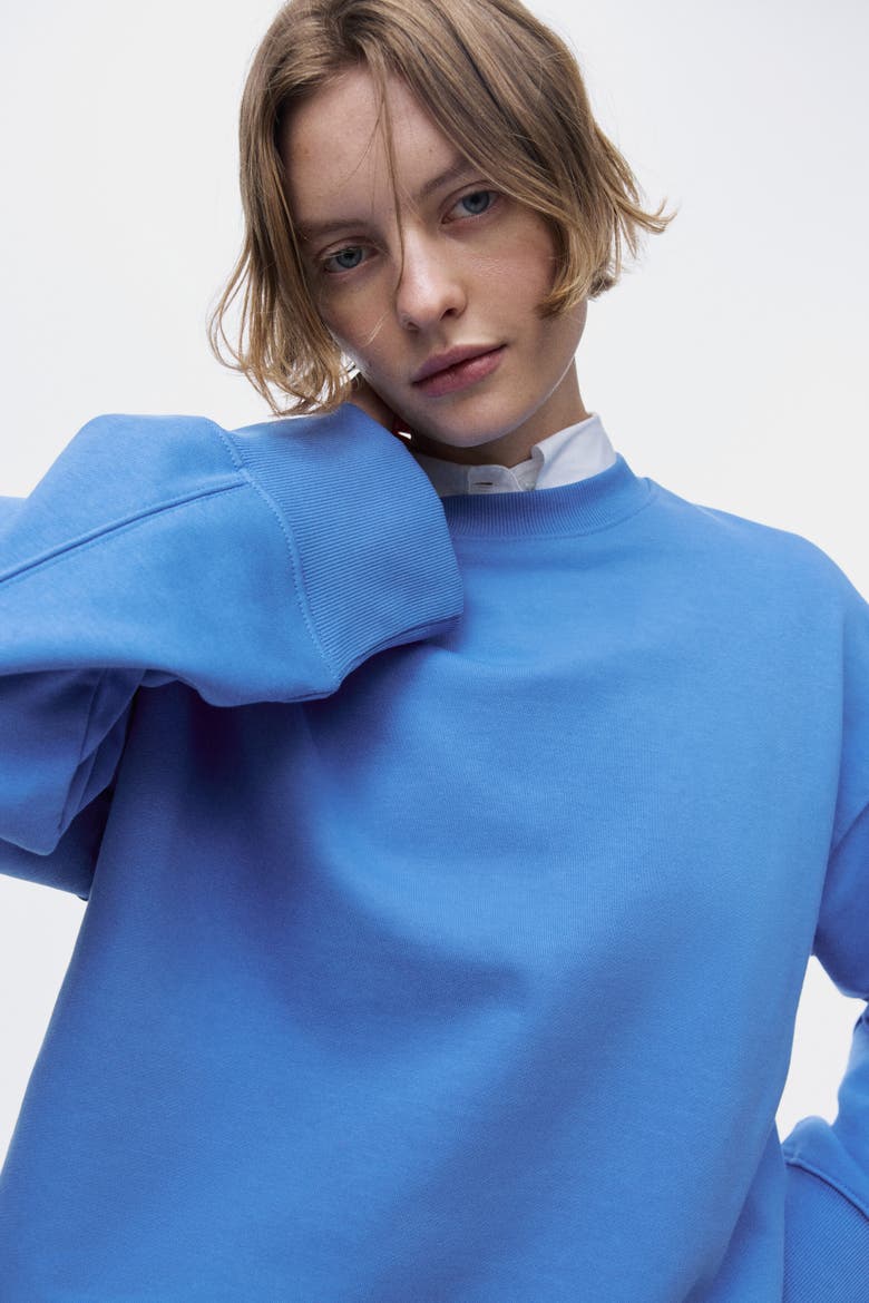 Oversized Cotton Sweatshirt, Alternate, color, Blue