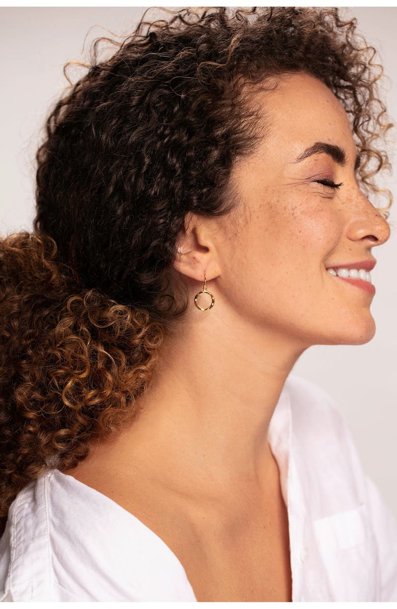 Kiara by Ki-Ele Chelsea Mini Hoop Drop Earrings, Alternate, color, 