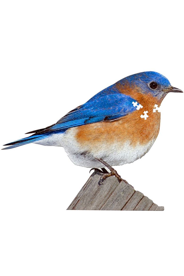 I Am Bluebird 300Piece Birdshaped Jigsaw Puzzle, Alternate, color, Multicolored