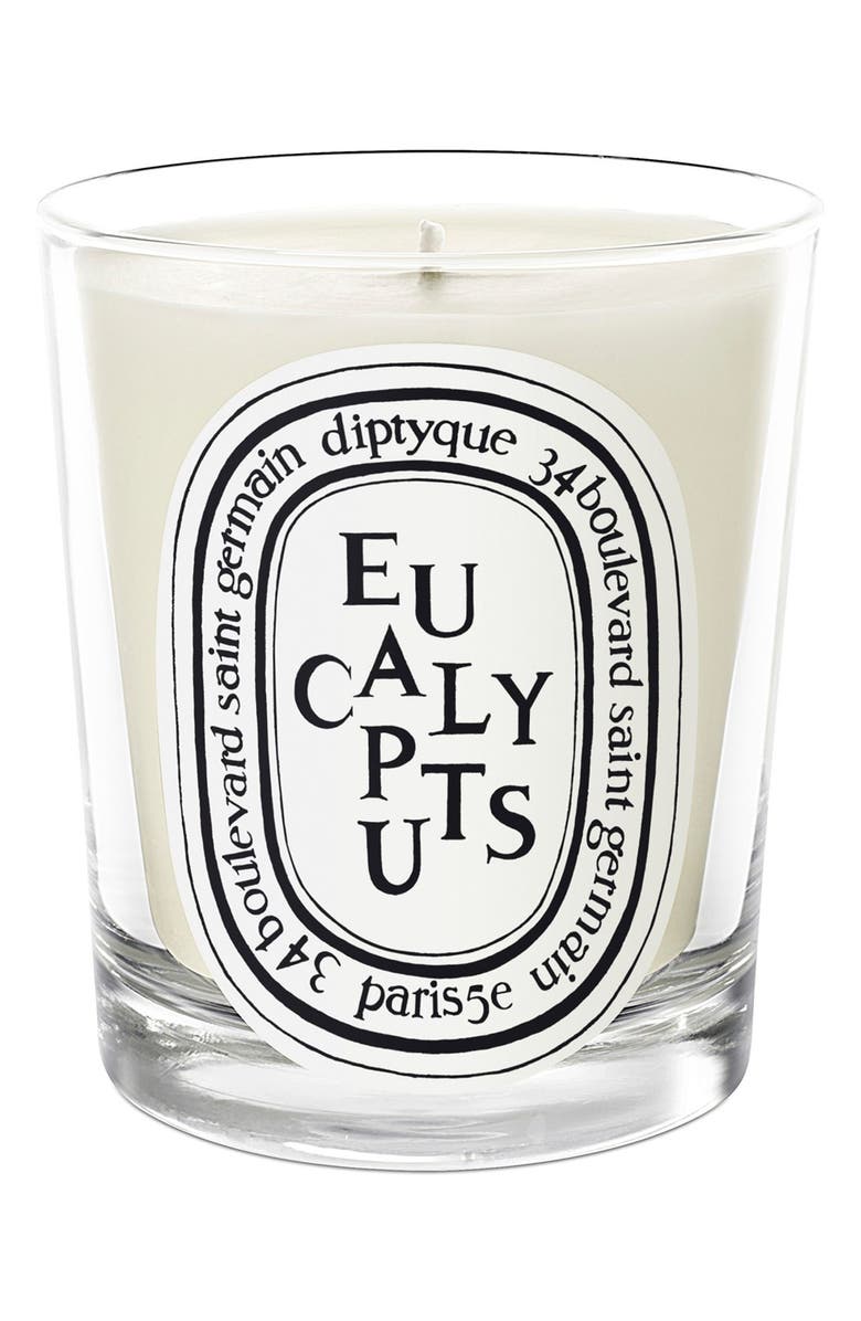 Diptyque Eucalyptus Scented Candle, Main, color, 
