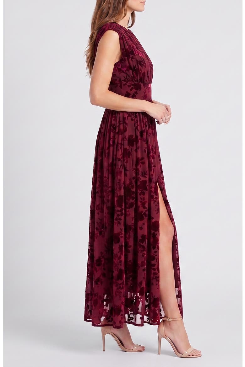 Floral Velvet Burnout Gown, Alternate, color, WINE