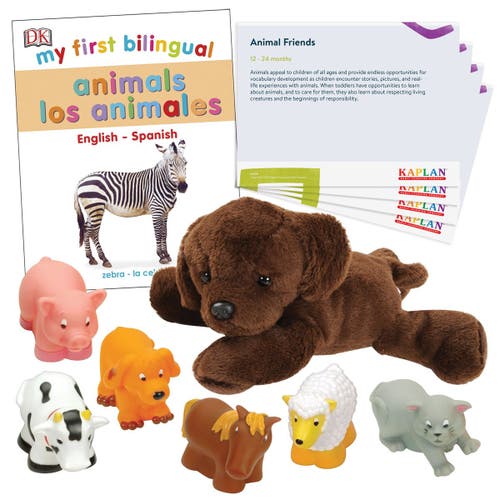 Kaplan Early Learning Company Animal Friends Learning Kit In Multi