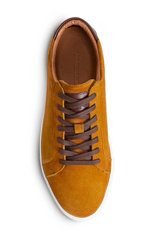 Allen Edmonds Courtside Sneaker In Turmeric