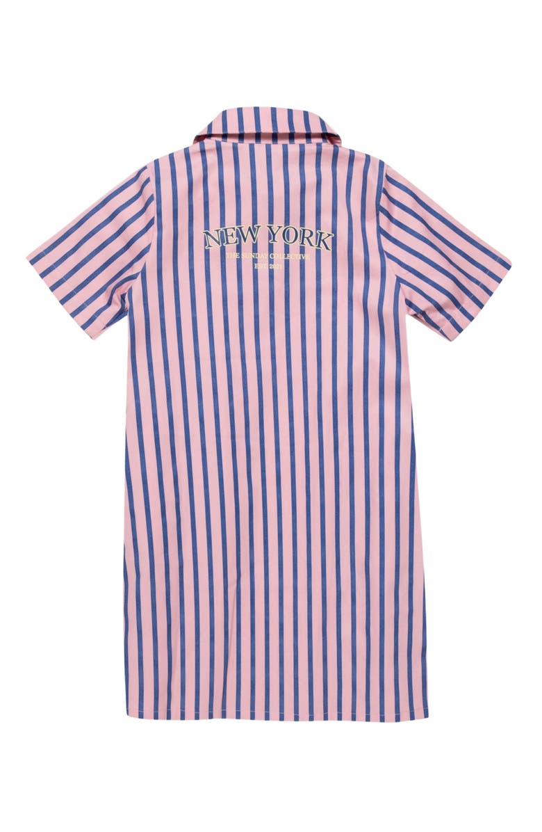 The Sunday Collective Shirtdress, Alternate, color, Blue Note Stripe