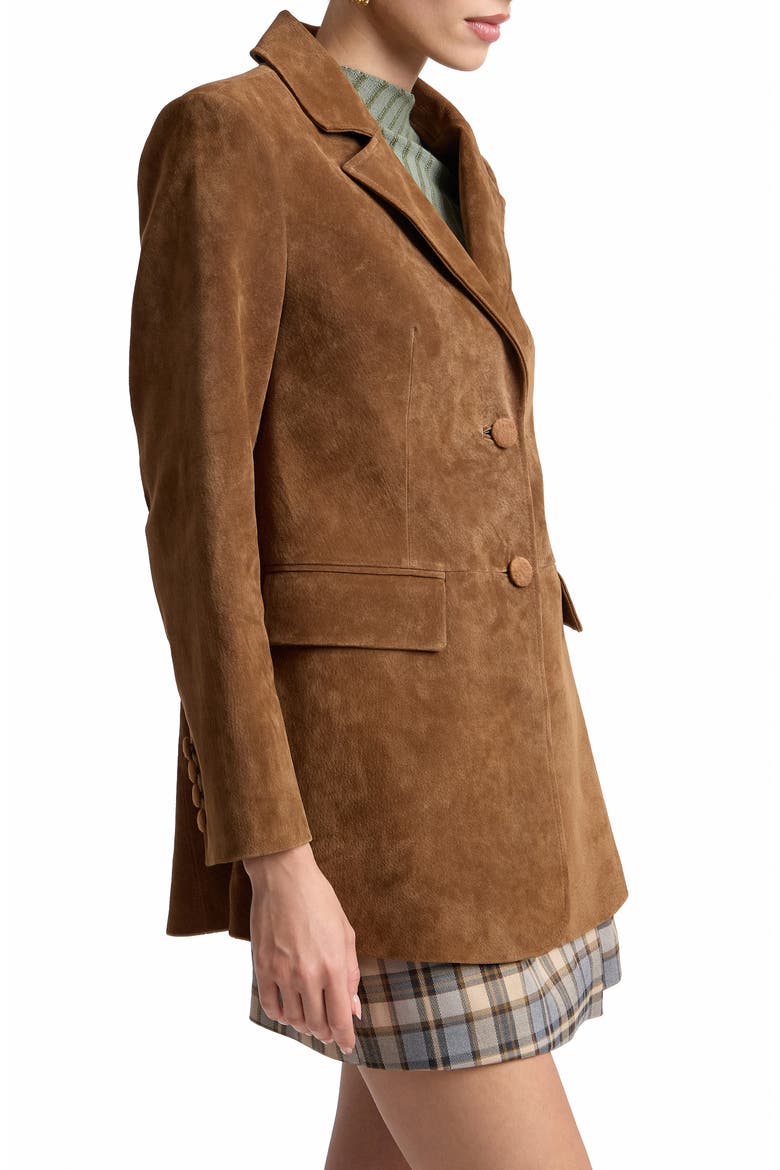 Longline Suede Blazer, Alternate, color, BRANDY