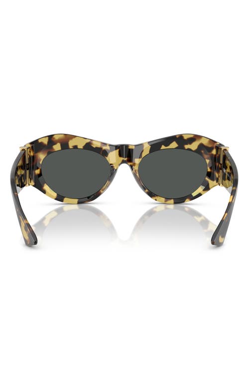 Versace 52mm Oval Sunglasses In Havana